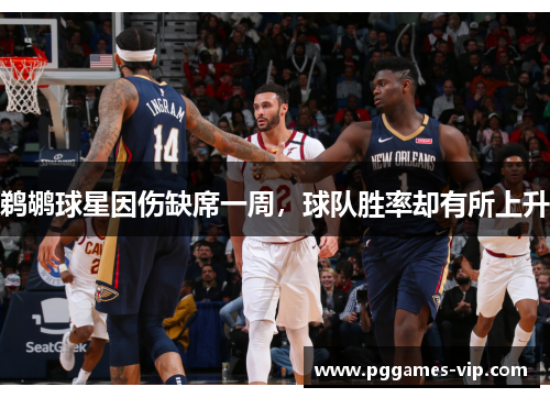 鹈鹕球星因伤缺席一周，球队胜率却有所上升